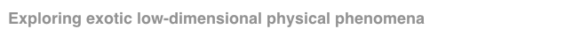 Exploring exotic low-dimensional physical phenomena